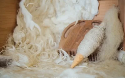 The Fabric of Entrepreneurship: Weaving Success in Georgia’s Textile Industry