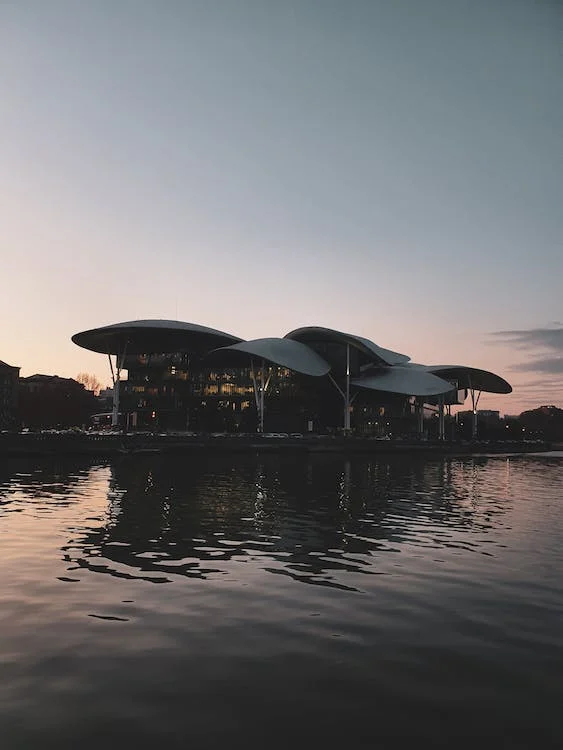 Company visual data 4